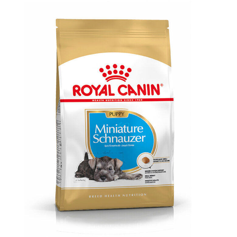 1.5 kg Royal Canin Puppy Miniature Schnauzer pienso para perros, , large indicador imagen numero 3
