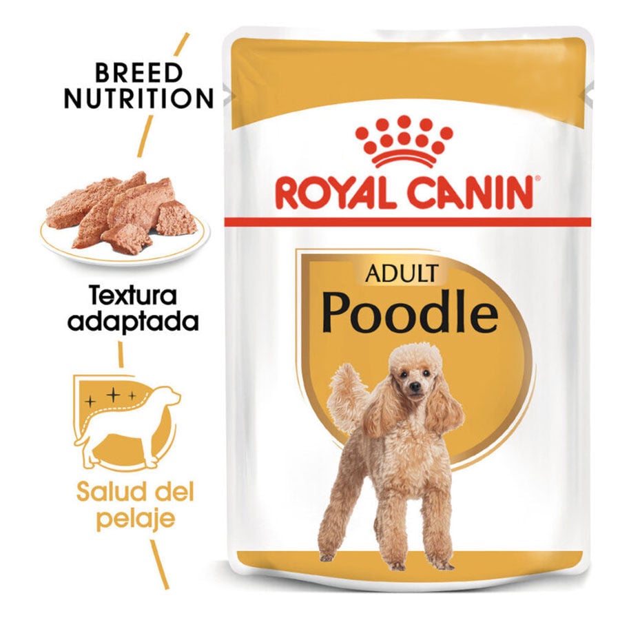 85 g Royal Canin Adult Poodle Pat&eacute; sobre para perros, , large indicador imagen numero 1