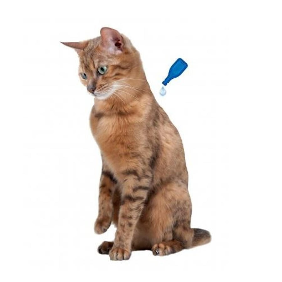 Beaphar Calming Pipetas Relajantes para gatos, , large Imagen numero 3