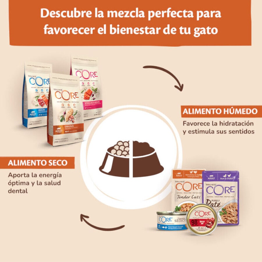 79 g &nbsp;Wellness Core Chunky carne y pollo lata para gatos, , large Imagen numero 4