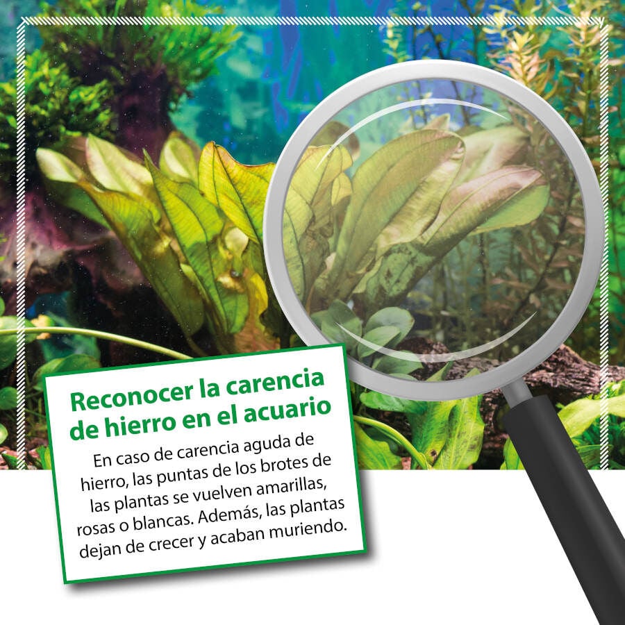 Microbe-Lift Plants FE Fertilizante de Hierro para acuarios, , large Imagen numero 3