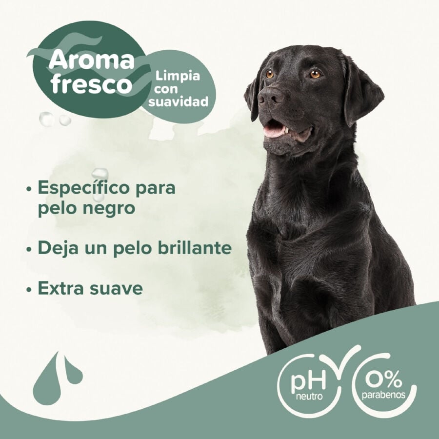 Beaphar Pelo Negro Champ&uacute; para perros, , large indicador imagen numero 3