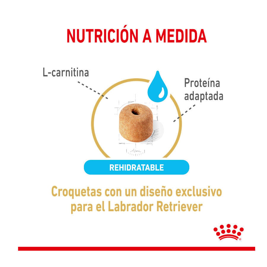 12 kg Royal Canin Adult 5+ Labrador pienso para perros, , large indicador imagen numero 4
