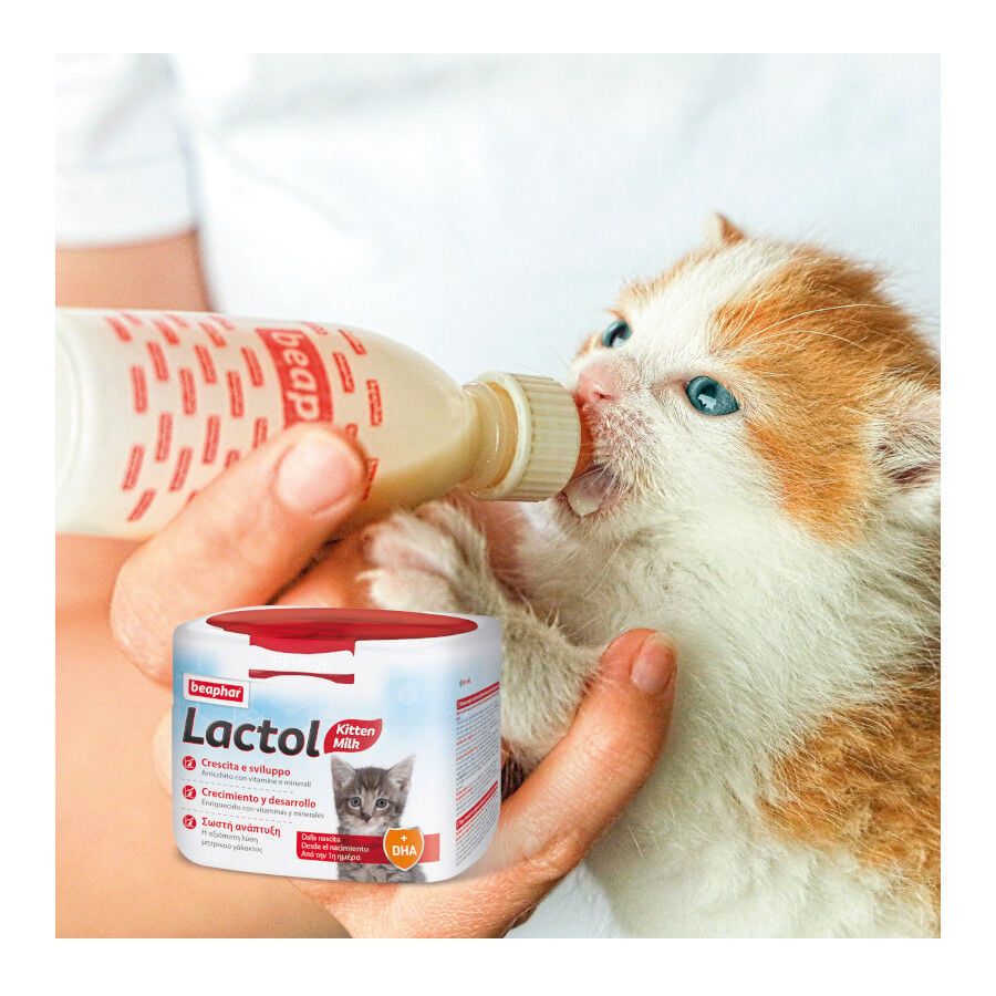 250 g Beaphar Lactol Leche en polvo para gatitos, , large indicador imagen numero 2