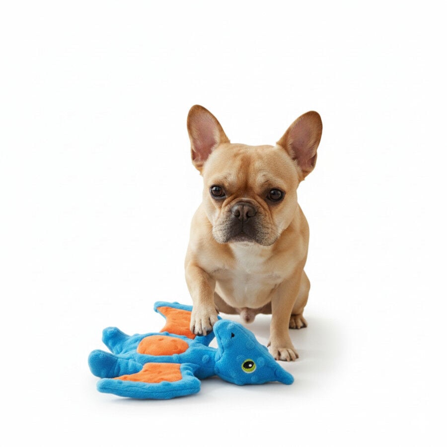 All For Paws My T Rex Azul Juguete para perros, , large Imagen numero 4