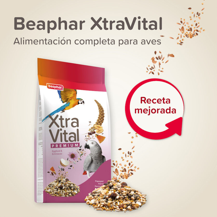 Beaphar XtraVital Premium Loros alimento para p&aacute;jaros, , large Imagen numero 2