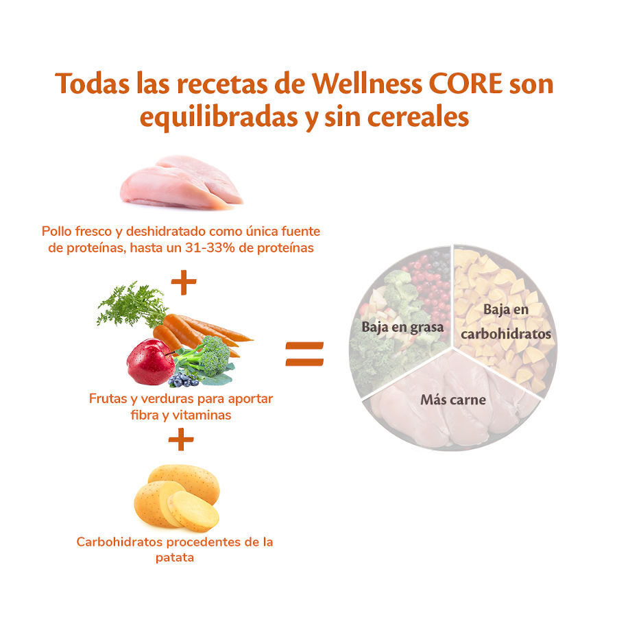 2.5 kg Wellness Core Puppy Large Original Pollo pienso para perros, , large Imagen numero 3