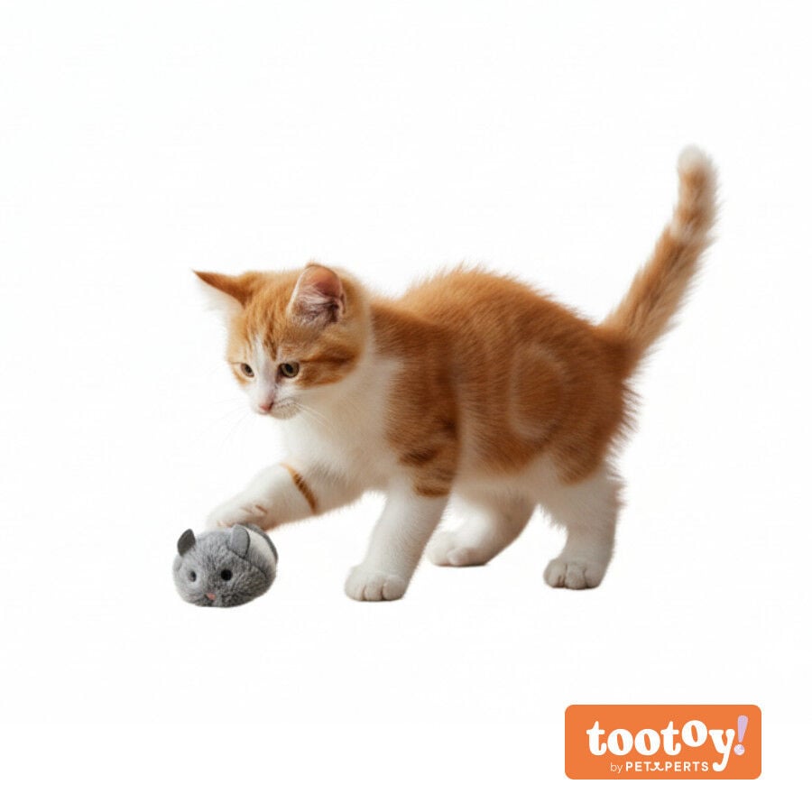 Tootoy! Rat&oacute;n Interactivo con Zumbido para gatitos