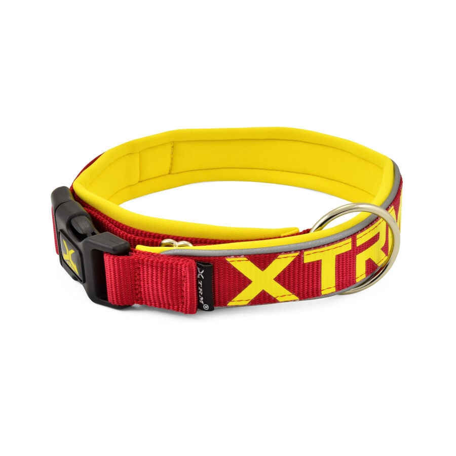 X-TRM Ne&oacute;n Flash Collar Rojo y Amarillo para perros