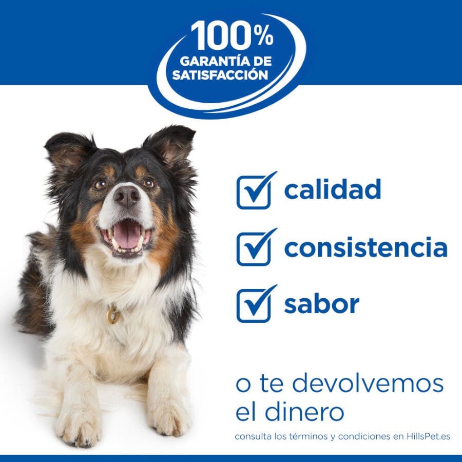 12 kg Hill's Science Plan Perfect weight y Active Mobility pollo pienso para perros grandes, , large Imagen numero 9