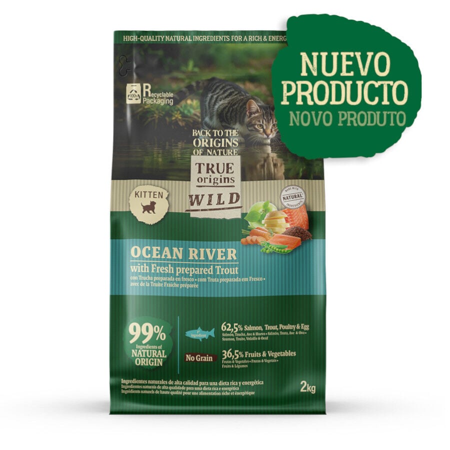 2 kg True Origins Wild Ocean River Salm&oacute;n y Trucha pienso para gatitos, , large Imagen numero 1