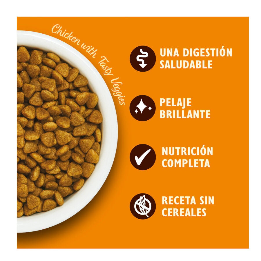 4 kg Lily's Kitchen Grain Free Pollo pienso para gatos, , large indicador imagen numero 3