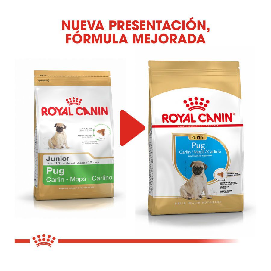 1.5 kg Royal Canin Puppy Pug pienso para perros, , large indicador imagen numero 3