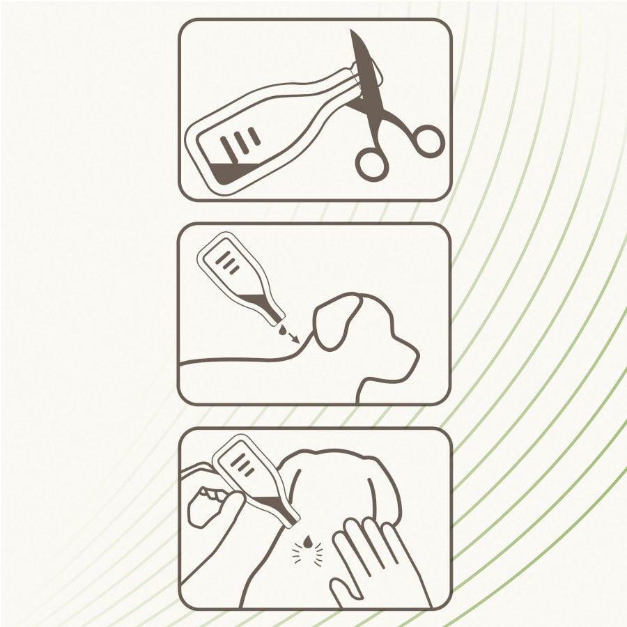 Beaphar Pipetas Repelentes para perros, , large Imagen numero 5