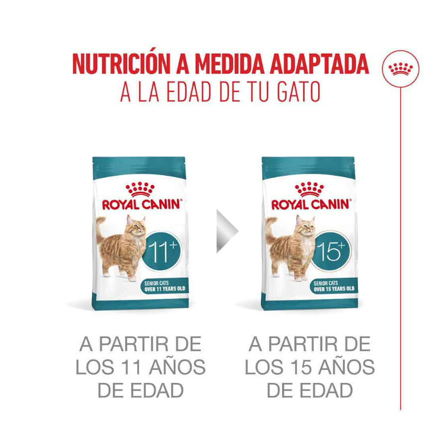 4 kg Royal Canin Ageing 11+ pienso para gatos&nbsp;senior, , large Imagen numero 13