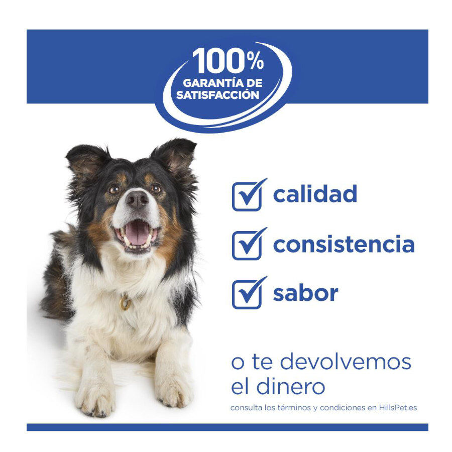 14 kg Hill's Science Plan Adult Medium Hypoallergenic Salm&oacute;n pienso para perros, , large Imagen numero 6