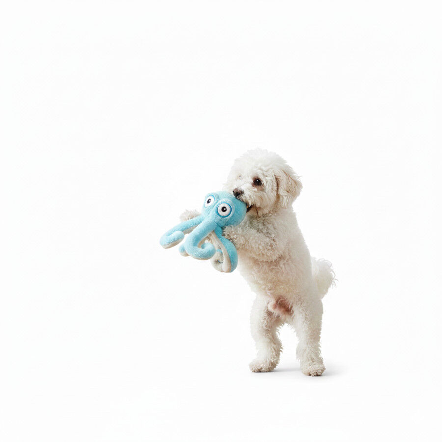All For Paws Ultrasonic Juguete Pulpo para perros, , large Imagen numero 3