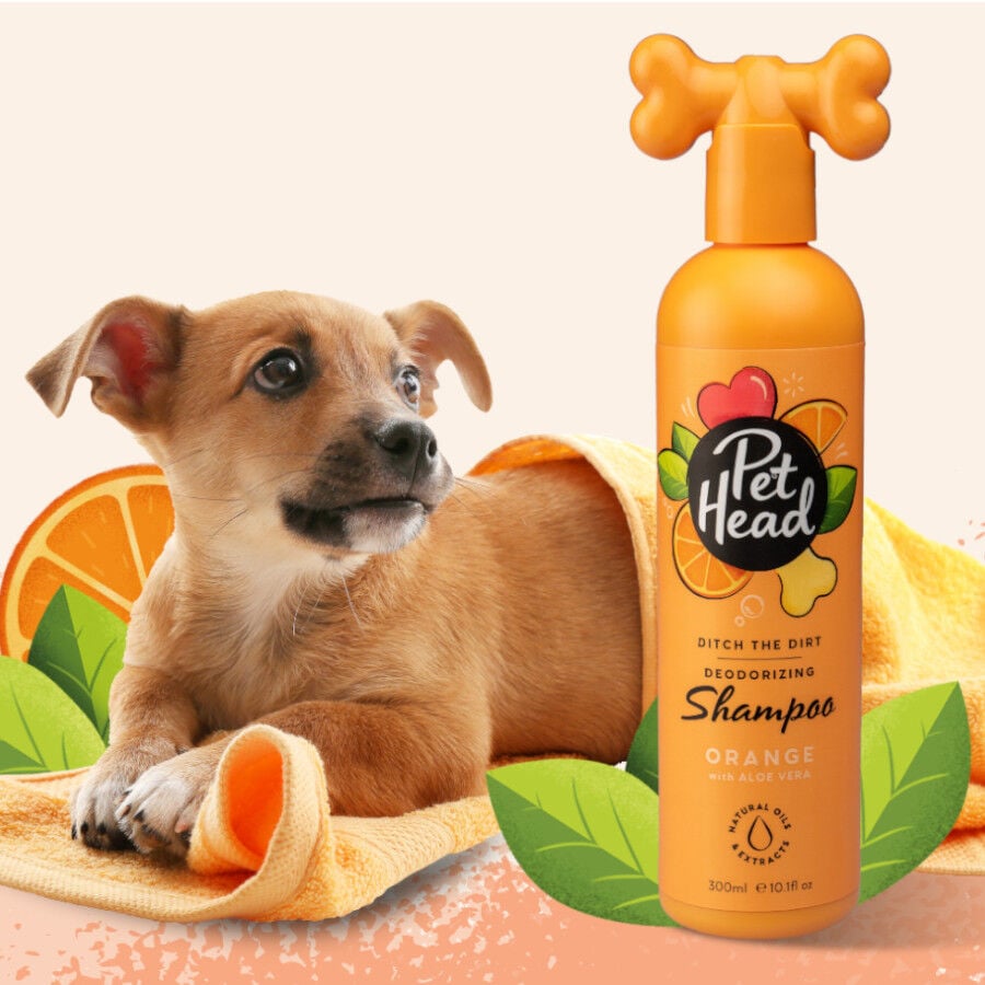 Pet Head champ&uacute; desodorante de naranja para perros, , large indicador imagen numero 2