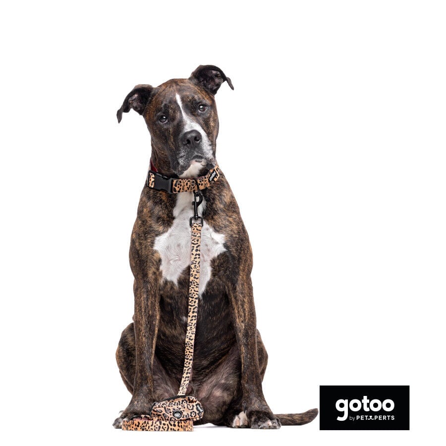 Gotoo Collar estampado leopardo para perros, , large indicador imagen numero 5