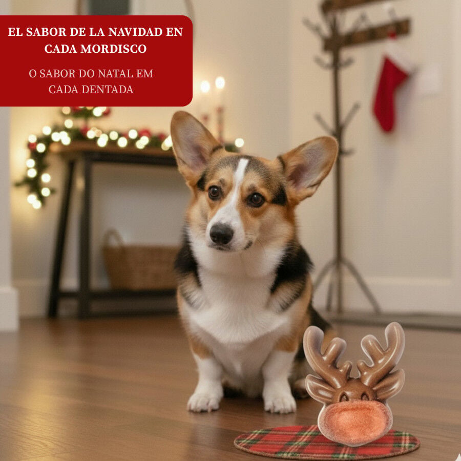 1 ud. Wonder Christmas Galleta Reno Navide&ntilde;a para perros, , large indicador imagen numero 4