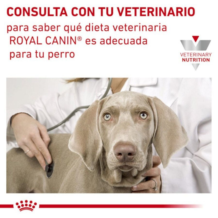 410 g Royal Canin Veterinary Sensitivity Control Mousse de Pollo y Arroz lata para perros, , large indicador imagen numero 3
