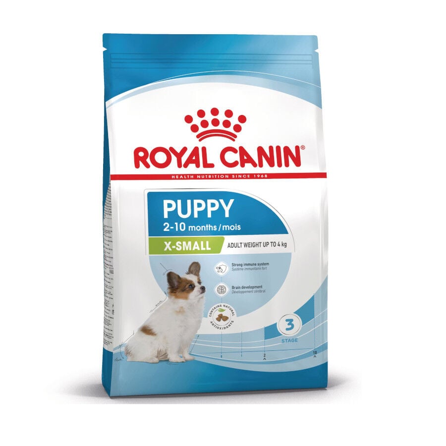 3 kg Royal Canin X-Small Puppy pienso para perros, , large Imagen numero 2