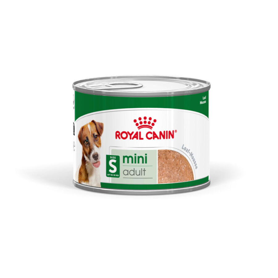 195 g Royal Canin Mini Adult Pat&eacute; lata para perros, , large indicador imagen numero 2