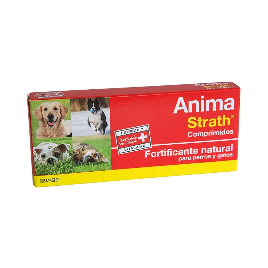40 Comprimidos Stangest Anima Strath Comprimidos para perros y gatos, , large Imagen numero 1