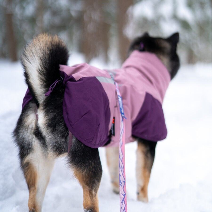Non-stop Dogwear Chaqueta Malva para perros, , large Imagen numero 3