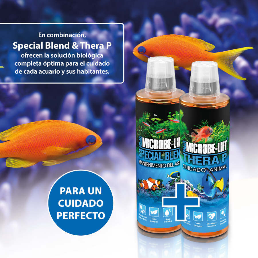 Microbe-Lift Thera P Animal Care Tratamiento de Bacterias para peces, , large indicador imagen numero 4
