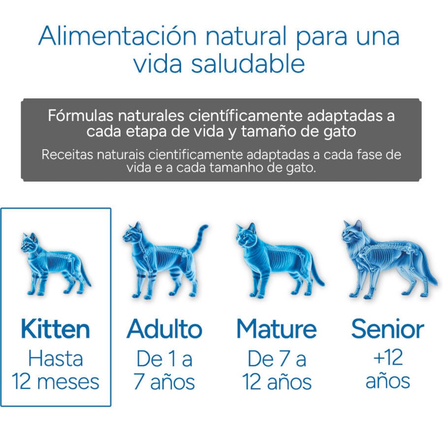 2 kg Criadores Cient&iacute;fico Kitten pollo pienso para gatos&nbsp;, , large indicador imagen numero 11