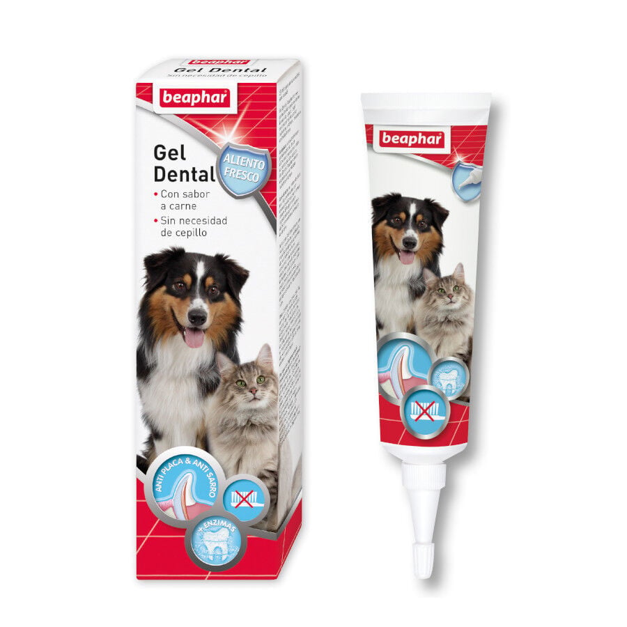Beaphar Gel Dental para perros y gatos, , large Imagen numero 2
