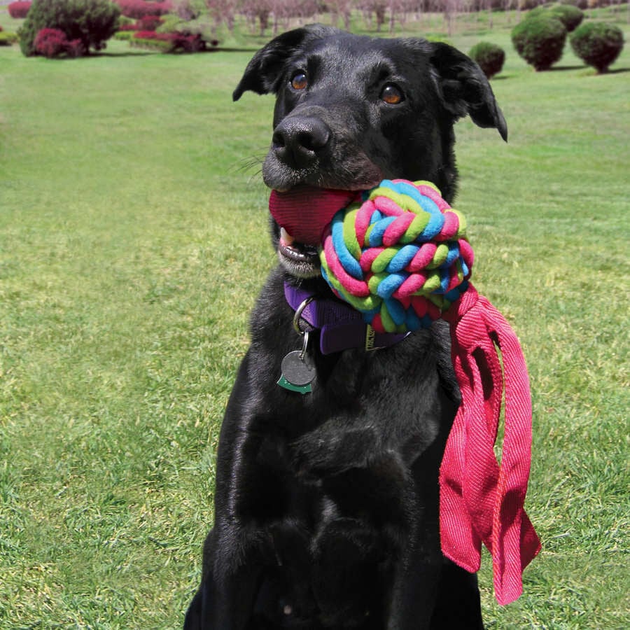 Kong Wubba Waves mordedor para perros, , large indicador imagen numero 3