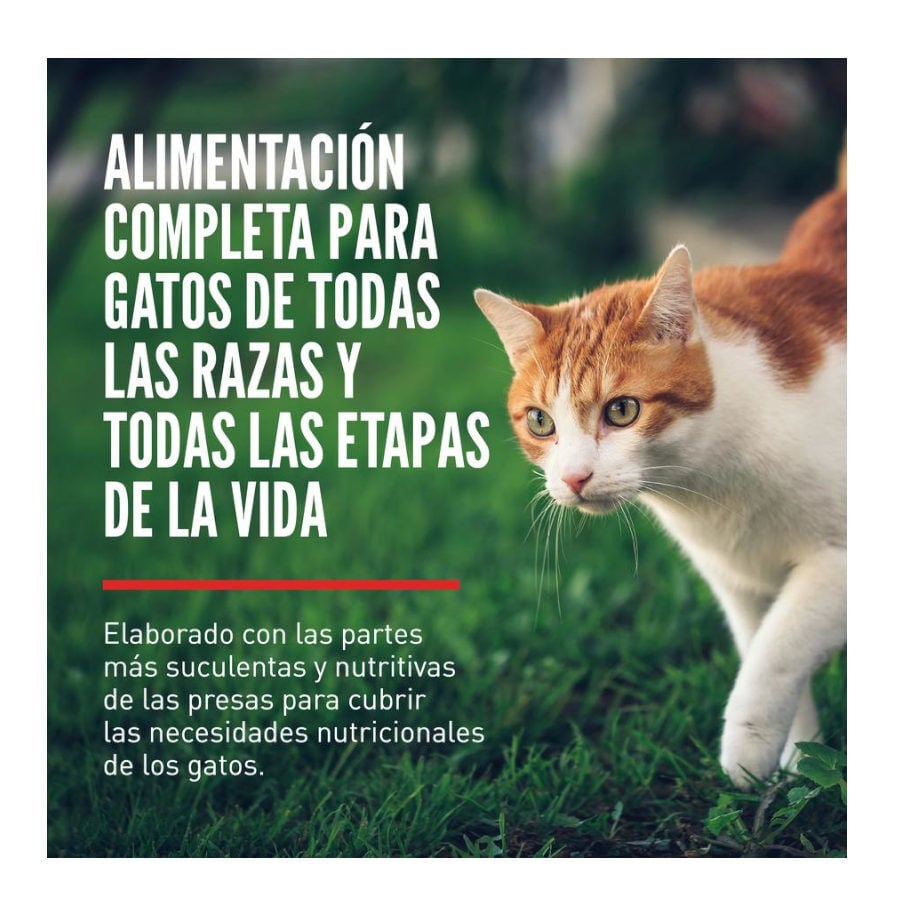 4.5 kg Orijen Guardi&aacute;n 8 Pienso para gatos, , large Imagen numero 2
