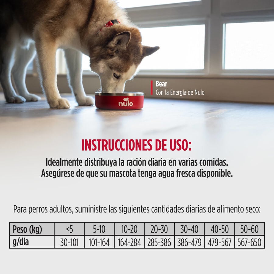 10 kg Nulo Baked Coated Cordero con Cerdo y Ternera Pienso para perros, , large indicador imagen numero 2