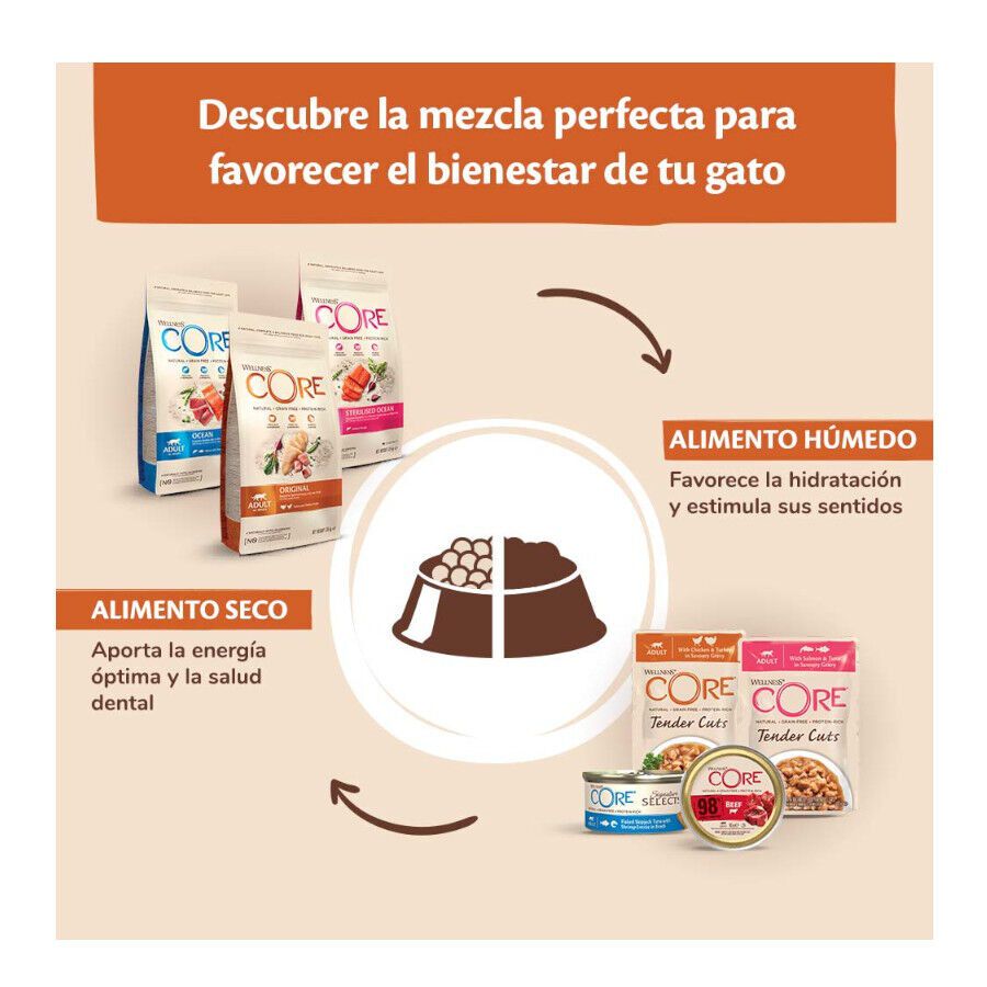 85 g Wellness Core Single Protein pavo tarrina para gatos, , large Imagen numero 4