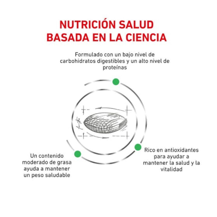 3.5 kg Royal Canin Veterinary Diabetic pienso para gatos, , large indicador imagen numero 2