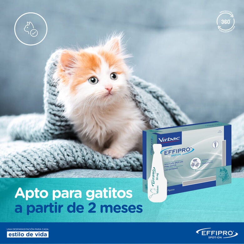 Virbac Effipro pipetas antiparasitarias gatos, , large indicador imagen numero 7