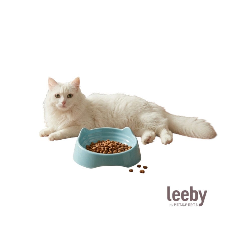 Leeby Comedero de Pl&aacute;stico Azul para gatos