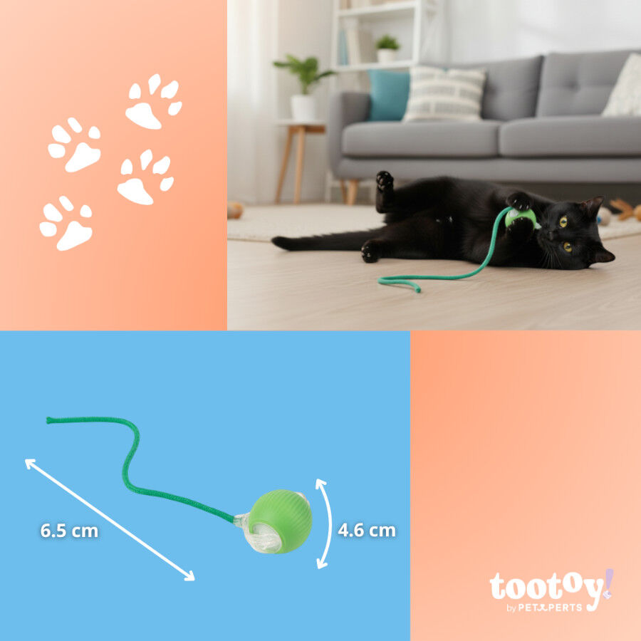 Tootoy! Pelota Interactiva con Luces y Cuerda Verde para gatos, , large Imagen numero 4