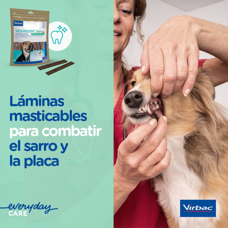 15 barritas Virbac L&aacute;minas Veggiedent Zen XS para perros, , large Imagen numero 5