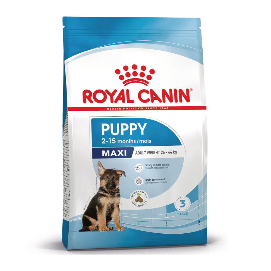 15 kg Royal Canin Puppy Maxi pienso para perros, , large Imagen numero 2