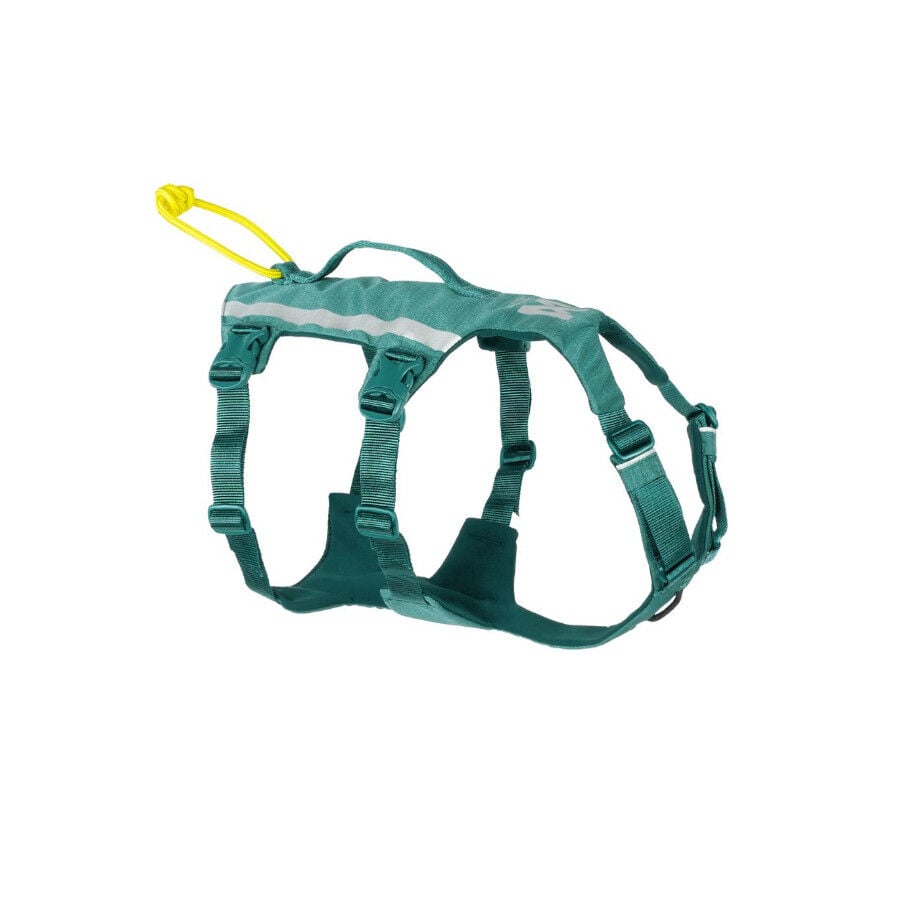 Non-stop Dogwear Arn&eacute;s Largo Azul y Verde para perros, , large indicador imagen numero 1