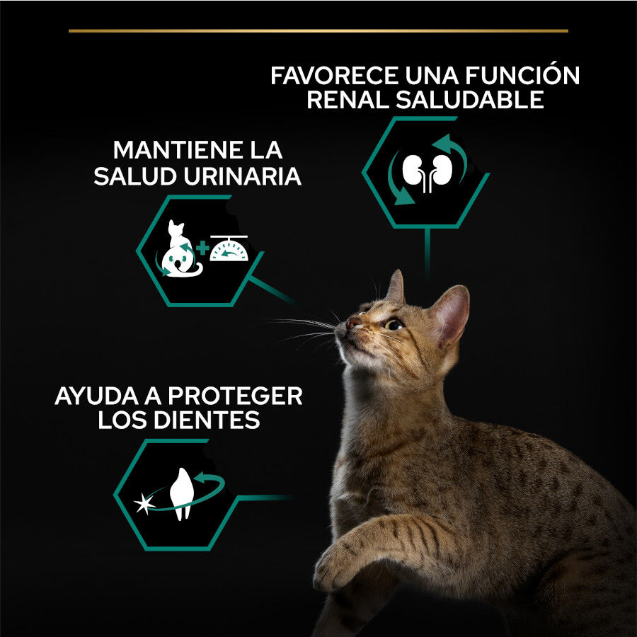 12 kg (10 + 2 kg &iexcl;gratis!) Pro Plan Adult Sterilized Pavo Pienso para gatos, , large indicador imagen numero 2