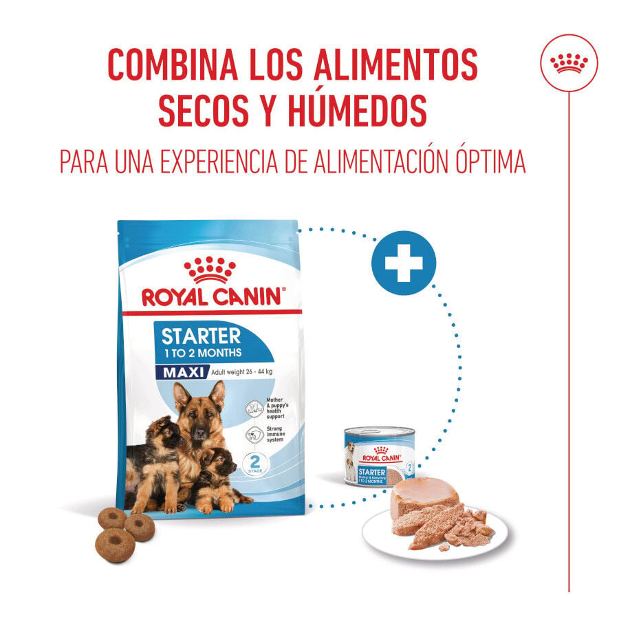 4 kg Royal Canin Starter MotheryBaby Maxi pienso para perros, , large Imagen numero 5