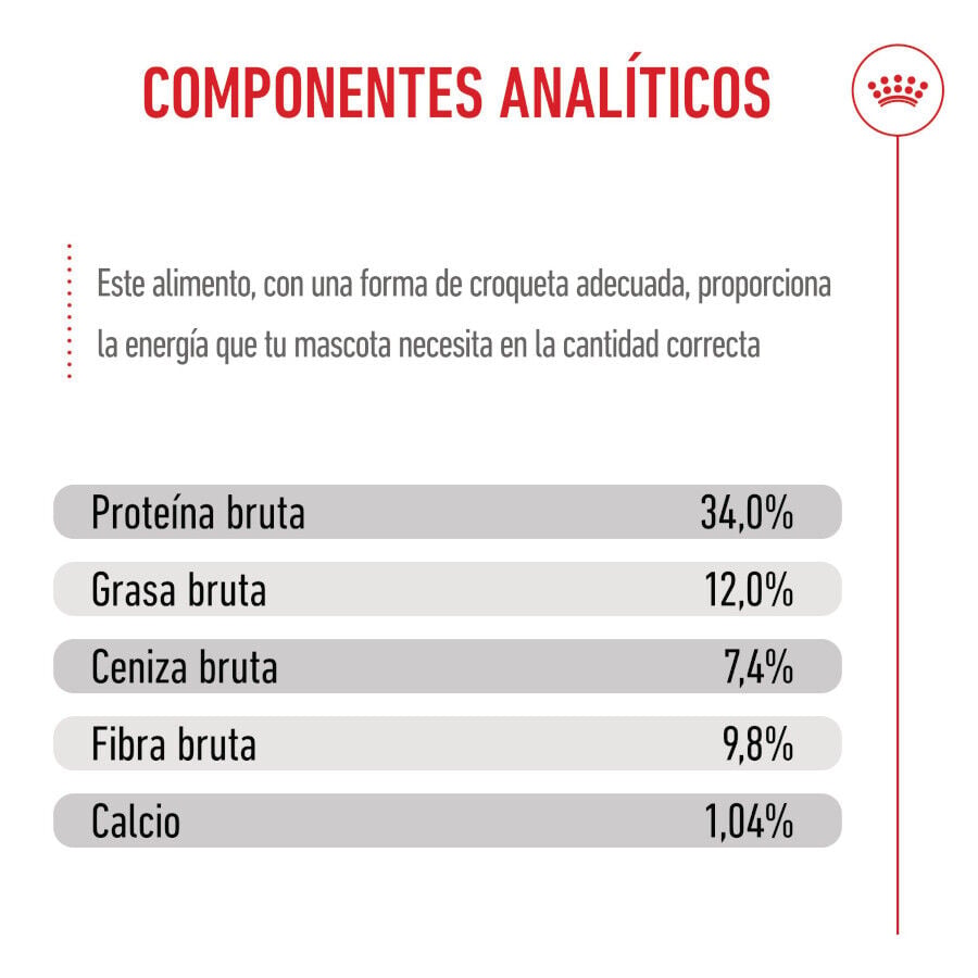 3.5 kg Royal Canin Kitten Sterilised pienso para gatos, , large Imagen numero 10
