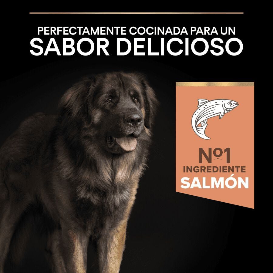 14 kg Pro Plan Adult Large Robust Salm&oacute;n pienso para perros Piel Sensible, , large indicador imagen numero 3