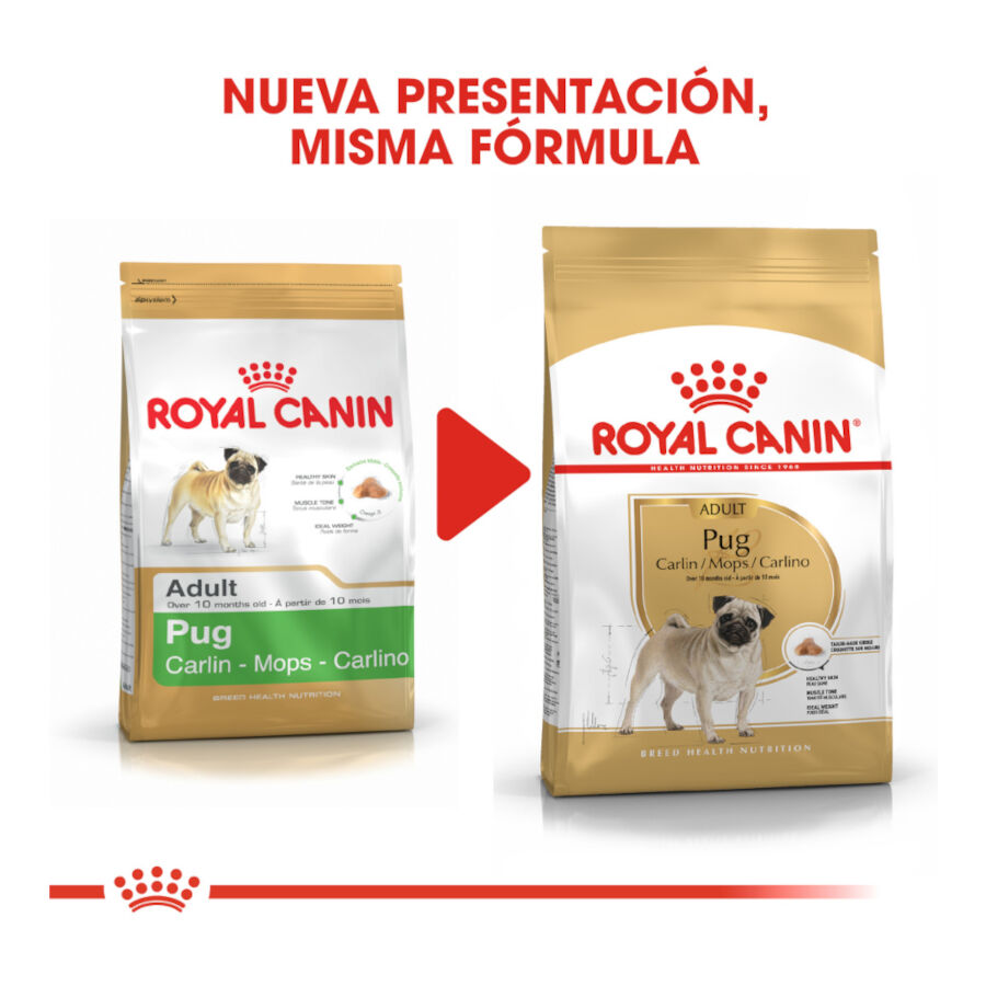 3 kg Royal Canin Adult Pug pienso para perros, , large Imagen numero 3
