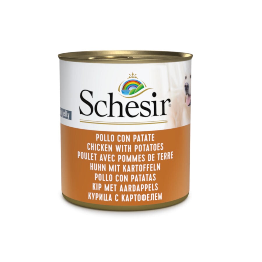 285 g Schesir Adult pollo con patatas lata para perros, , large Imagen numero 1