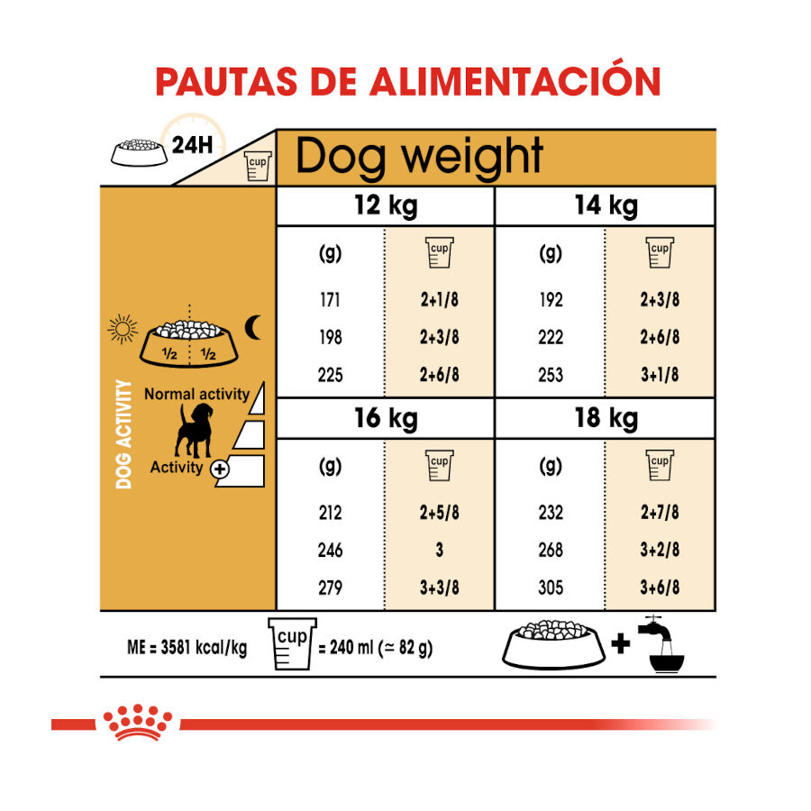 3 kg Royal Canin Adult Beagle pienso para perros, , large indicador imagen numero 8
